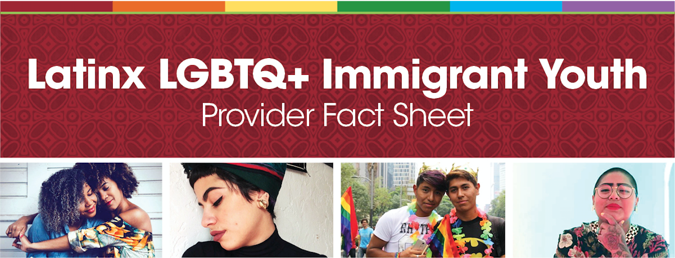 Latinx LGBTQ Immigrant Youth Provider Fact Sheet image